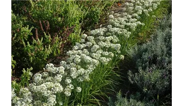 Gartenbaumschule Becker