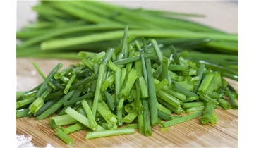 Gartenbaumschule Becker