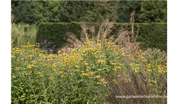 Gartenbaumschule Becker