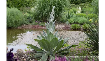 Gartenbaumschule Becker
