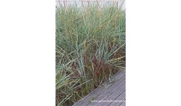 Gartenbaumschule Becker