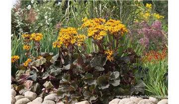 Gartenbaumschule Becker