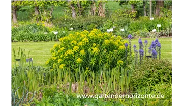 Gartenbaumschule Becker