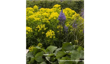 Gartenbaumschule Becker