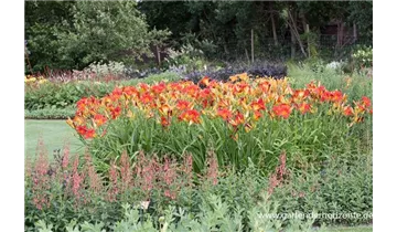 Gartenbaumschule Becker