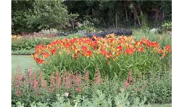 Gartenbaumschule Becker
