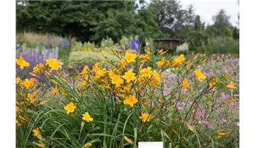 Gartenbaumschule Becker