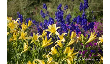 Gartenbaumschule Becker