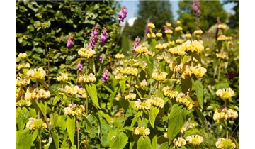 Gartenbaumschule Becker