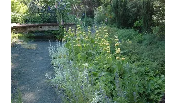 Gartenbaumschule Becker