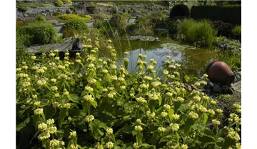 Gartenbaumschule Becker