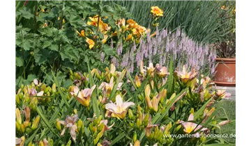 Gartenbaumschule Becker