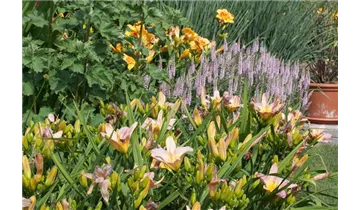 Gartenbaumschule Becker