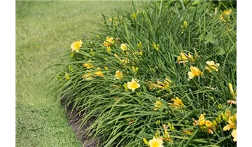 Gartenbaumschule Becker