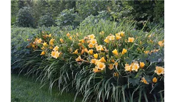 Gartenbaumschule Becker