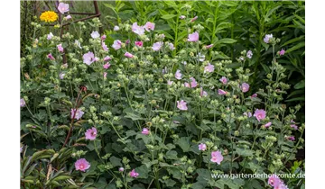 Gartenbaumschule Becker