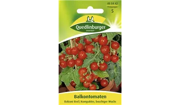 Bildvorschau