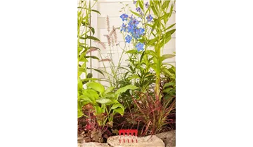 Gartenbaumschule Becker