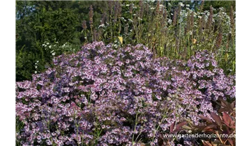 Gartenbaumschule Becker