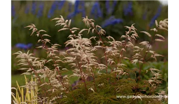 Gartenbaumschule Becker