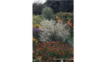 Gartenbaumschule Becker