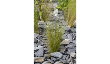 Gartenbaumschule Becker