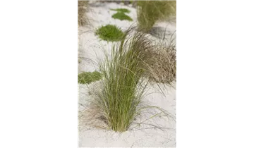 Gartenbaumschule Becker