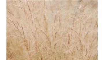 Gartenbaumschule Becker