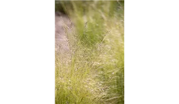 Gartenbaumschule Becker