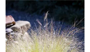 Gartenbaumschule Becker