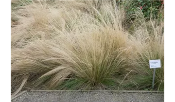 Gartenbaumschule Becker