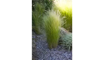 Gartenbaumschule Becker