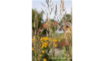 Gartenbaumschule Becker