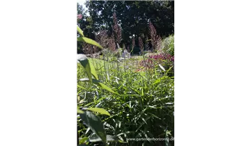 Gartenbaumschule Becker