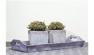 Gartenbaumschule Becker