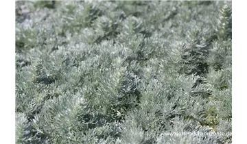 Gartenbaumschule Becker