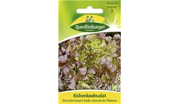 Bildvorschau