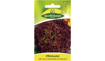 Bildvorschau