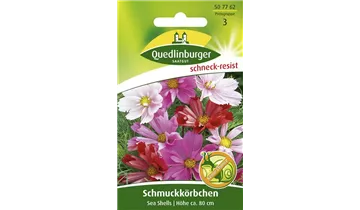 Bildvorschau