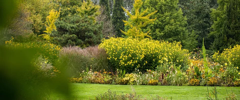 Gartenbepflanzung