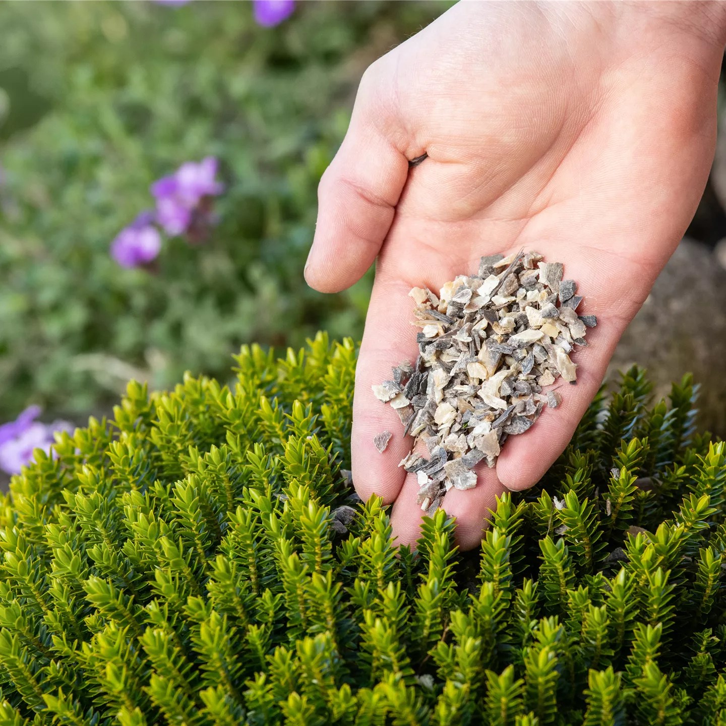 Nachhaltiges Gärtnern