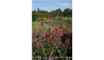 Gartenbaumschule Becker