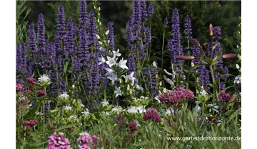 Gartenbaumschule Becker