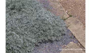 Gartenbaumschule Becker