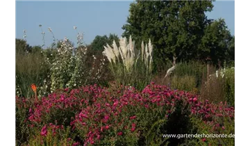 Gartenbaumschule Becker