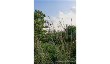 Gartenbaumschule Becker