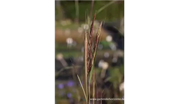 Gartenbaumschule Becker