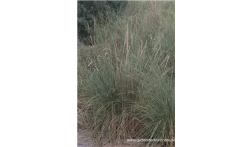 Gartenbaumschule Becker