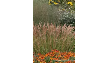 Gartenbaumschule Becker