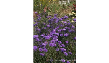 Gartenbaumschule Becker